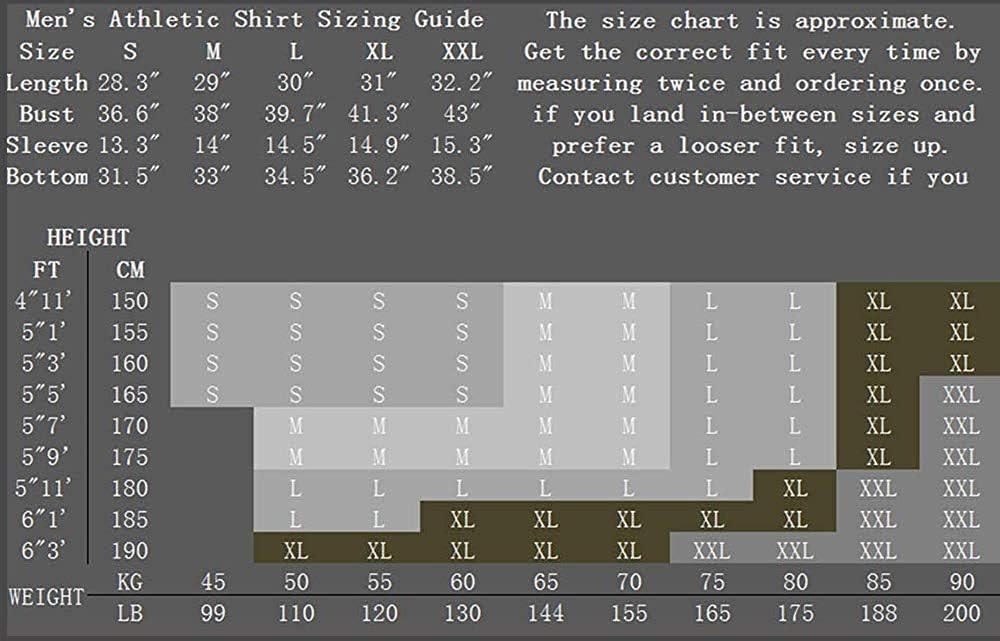 CHOO Men's Lion Series MMA BJJ Cross Training Rash Guard Shorts Spat No Gi Set - Image 9