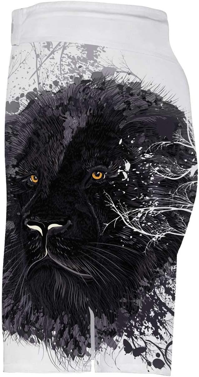 CHOO Men's Lion Series MMA BJJ Cross Training Rash Guard Shorts Spat No Gi Set - Image 5